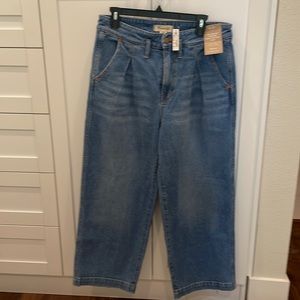 The Perfect Vintage Wide-Leg Crop Jean in Birchford Wash: Pleated Edition